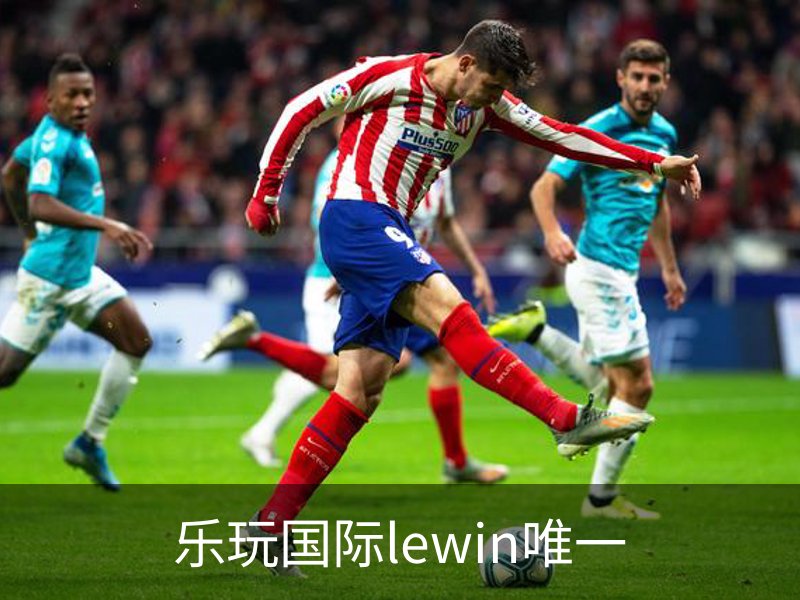 乐玩国际lewin唯一简介